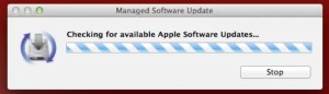 Screen Shot 2013-03-05 at 1.17.57 PM